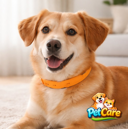PetCare™ - Collar Antipulgas y garrapatas para Mascotas (Perro y Gato)